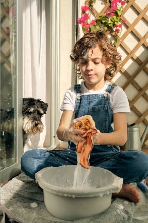 Photo for Kid in jeans overall sitting against Miniature Schnauzer and wringing out rag over basin while cleaning balcony glass in sunshine - Royalty Free Image