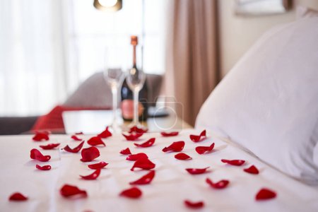 Téléchargez les photos : D'en haut gros plan de lit recouvert de linge de lit blanc et coussins avec pétales éparpillés de roses rouges fraîches et bouteille de champagne avec des verres sur la table de chevet dans la chambre d'hôtel - en image libre de droit