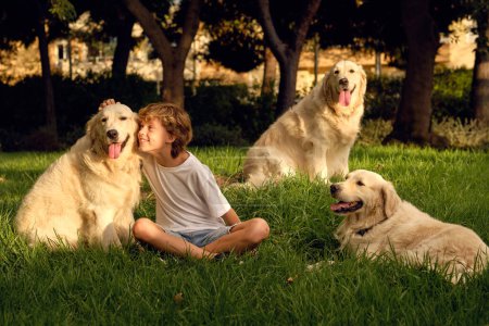 Téléchargez les photos : Préadolescent positif assis sur une pelouse herbeuse avec un paquet de chiens Golden Retriever et profitant de la journée d'été dans le parc - en image libre de droit