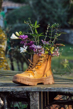 Photo for Colorful flowers in brown boot placed on wooden structure in rural area with green plants and building on blurred background - Royalty Free Image