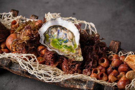 Photo for From above of palatable oyster in shell served in plate with various seafood ingredients in restaurant - Royalty Free Image