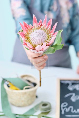 Téléchargez les photos : Fleuriste femelle démontrant protea cynaroides avec des pétales roses tout en faisant des arrangements floraux dans un magasin de fleurs - en image libre de droit