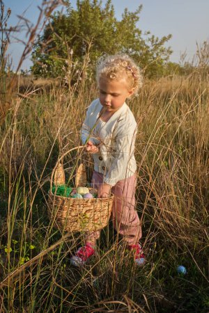 Photo for Funny little girl in white sweater collecting dyed Easter eggs into wicker basket on grassy meadow in sunny spring nature - Royalty Free Image
