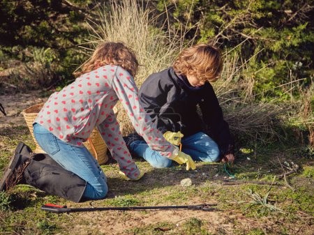 Photo for Side view of full body of preteen children in rubber boots and gloves sitting on knees and picking up garbage in grassy ground in woods - Royalty Free Image