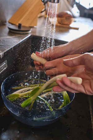 Photo for Crop unrecognizable people washing fresh green onion into bowl in sink with running clear water while cooking in light kitchen - Royalty Free Image
