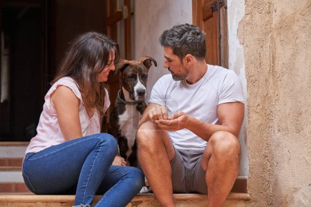 Photo for Smiling woman and man in casual clothes resting on porch of house and looking at adorable dog with tenderness together - Royalty Free Image