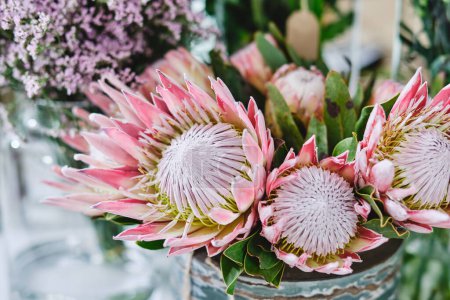 Closeup of bouquet of blossoming protea flowers with pink petals placed in ceramic vase in floral shop