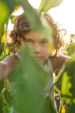 Foto de Lindo niño preadolescente de pelo rizado mirando a la cámara a través de hojas verdes de la planta mientras está de pie en el campo en verano en el campo - Imagen libre de derechos