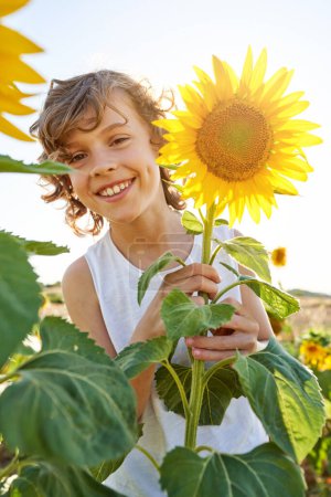 Téléchargez les photos : Garçon souriant aux cheveux bouclés tenant le tournesol jaune en fleurs tout en se tenant debout sur un champ pittoresque et en regardant la caméra par une chaude journée d'été - en image libre de droit