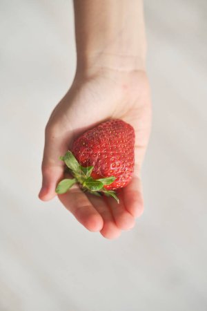 Photo for Overhead of faceless person demonstrating tasty ripe strawberry in palm on blurred background - Royalty Free Image