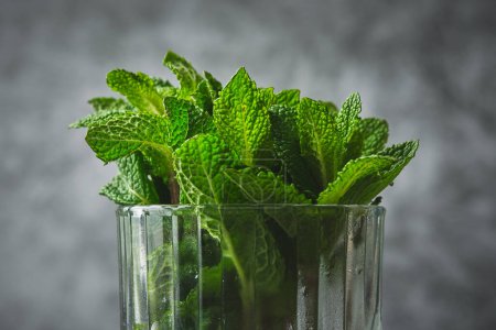Photo for Fresh mint leaves put in a glass jar - Royalty Free Image