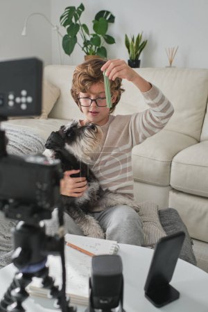 Photo for Child in casual clothes playing with Miniature Schnauzer dog while recording video for online broadcast in modern living room at home - Royalty Free Image