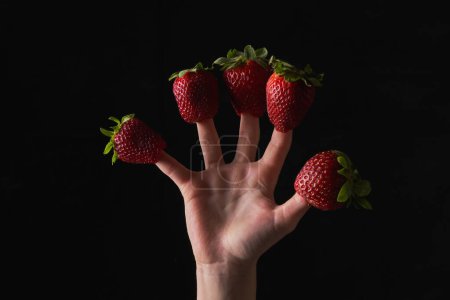 Photo for Crop unrecognizable person wearing appetizing red strawberries on fingers on black background in studio - Royalty Free Image