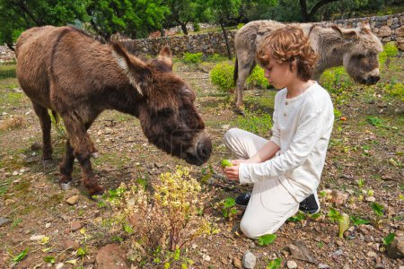Full length preteen boy in white wear feeding cute donkey with green apple in summer countryside