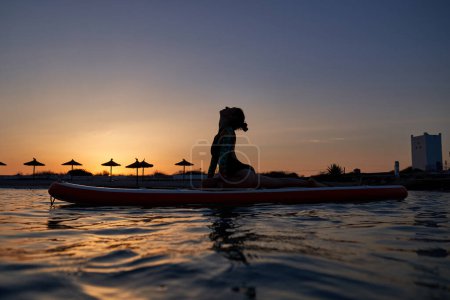 Téléchargez les photos : Silhouette de jeune femme en maillot de bain prenant la pose Half Pigeon tout en faisant du yoga sur paddleboard au bord de la mer au coucher du soleil - en image libre de droit