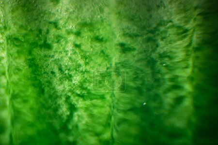 Téléchargez les photos : Macro shot de délicieux cocktail vert rafraîchissant à base de fruits et légumes avec des bulles à travers du verre transparent - en image libre de droit