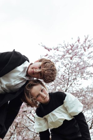 Téléchargez les photos : D'en bas de frère positif et soeur debout sous l'arbre en fleurs dans le parc et regardant la caméra - en image libre de droit
