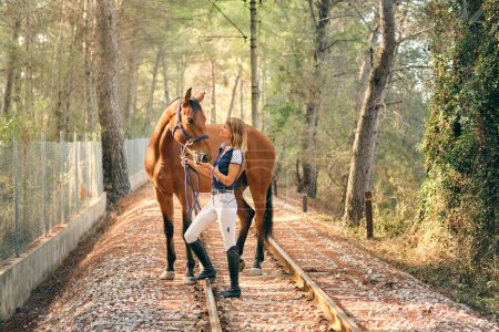 Foto de Vista lateral del contenido hembra ecuestre de pie con elegante caballo de castaño en el ferrocarril en el día soleado en el bosque - Imagen libre de derechos