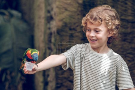 Foto de Niño feliz con el pelo rubio rizado alimentación loro colorido sentado en la mano de la taza de plástico en el zoológico en el día de verano - Imagen libre de derechos