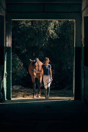 Foto de Caballo sosteniendo riendas y llevando a caballo marrón al establo en un día soleado en el campo - Imagen libre de derechos