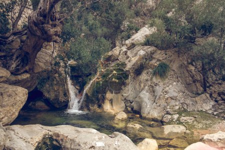 Foto de Increíble paisaje con cascada rápida que fluye a través de un áspero acantilado rocoso hacia un río poco profundo en un pintoresco barranco con árboles verdes en un día soleado en Sóller - Imagen libre de derechos