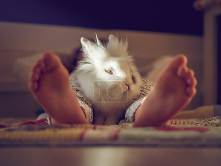 Foto de Cultivo niño descalzo anónimo en pijama con adorable conejo esponjoso en las piernas acostado sobre una manta de colores en la habitación en casa - Imagen libre de derechos