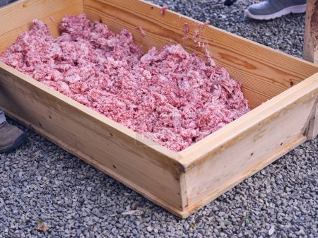Téléchargez les photos : Vue latérale du récipient en bois rempli de viande hachée de bœuf frais rose placé sur un sol de galets à l'extérieur de l'abattoir de Majorque - en image libre de droit