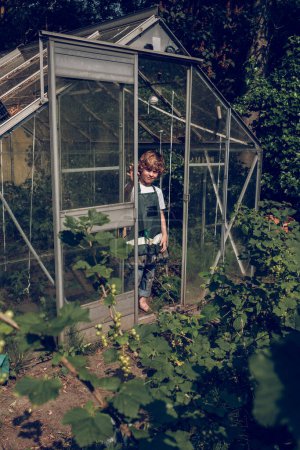 Photo for Blond haired barefoot kid wearing gardening apron standing in hothouse among green growing plants and looking at camera - Royalty Free Image