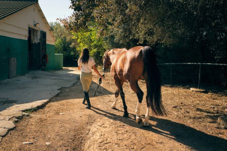 Foto de Vista trasera de una jinete femenina irreconocible que conduce al caballo castaño a lo largo de un camino arenoso en el campo en un día soleado - Imagen libre de derechos