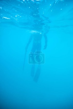 Foto de Vista submarina de cazador irreconocible en traje de neopreno y con arpón arpón pesca submarina en mar azul - Imagen libre de derechos