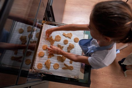 Photo for High angle of crop child putting uncooked differently shaped biscuits on baking paper in kitchen at home - Royalty Free Image