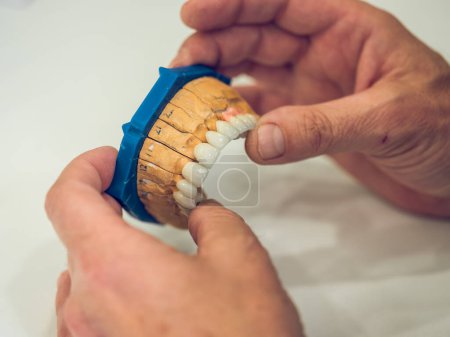 Téléchargez les photos : Mains de culture d'un technicien dentaire méconnaissable tenant une prothèse préparée sur fond blanc en foyer sélectif - en image libre de droit