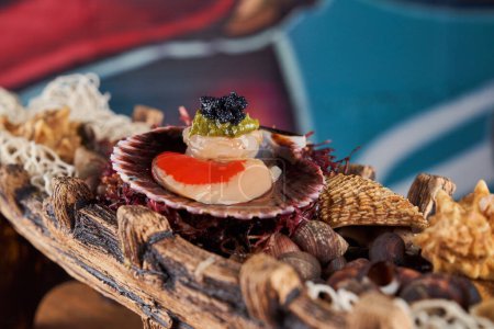Téléchargez les photos : Saint-Jacques frais surmonté de caviar noir servi sur une assiette sur un bateau en bois décoratif avec un tas de coquillages dans un café léger moderne - en image libre de droit