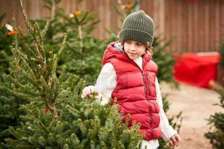 Foto de Adorable niño pequeño en elegante chaleco hinchable y sombrero tocando ramas de abeto al elegir el árbol de Navidad en el mercado al aire libre en el día de invierno - Imagen libre de derechos