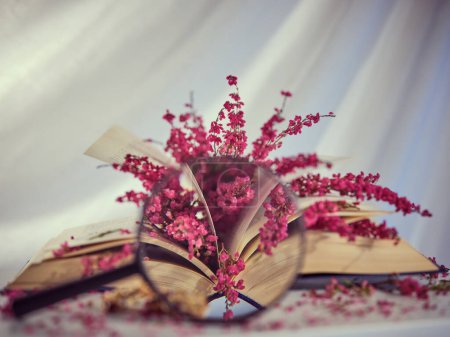 Téléchargez les photos : Grâce à la loupe ronde de brindilles de bruyère rose colorées sur le livre ouvert placé sur la table sur fond blanc en studio de lumière - en image libre de droit