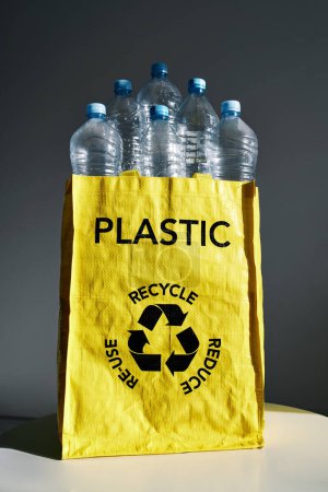 Téléchargez les photos : Sac lumineux rempli de bouteilles en plastique vides séparées pour le recyclage afin de réduire la contamination de l'environnement - en image libre de droit