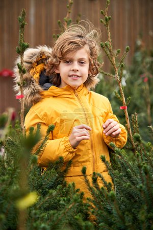Photo for Charming blond boy in yellow warm jacket standing among green coniferous trees while smiling and looking at camera - Royalty Free Image