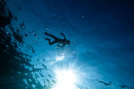 Foto de Desde abajo de silueta de cuerpo completo adolescente en aletas y máscara de snorkel nadando bajo el agua en aguas transparentes de color azul profundo de mar - Imagen libre de derechos