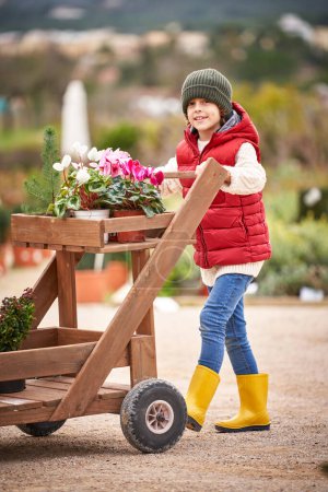 Photo for Full body of adorable preteen boy wearing warm outfit rolling wooden garden cart with blooming vivid flowers in pots growing in botanical center - Royalty Free Image