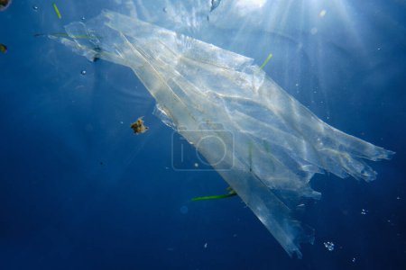 Téléchargez les photos : Vue sous-marine de la litière flottant profondément dans l'eau de mer bleue sous la lumière du soleil endommageant l'environnement marin - en image libre de droit
