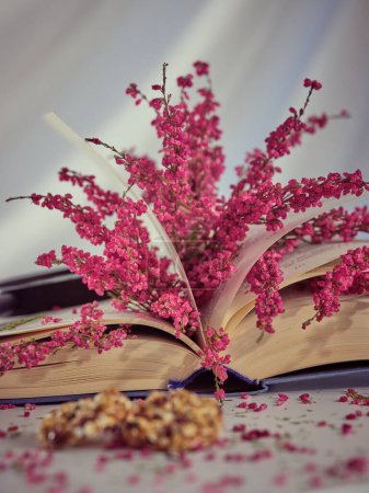 Foto de Libro abierto con flores de brezo rosa y lupa sobre mesa con galletas de cereales dulces sobre fondo blanco en estudio - Imagen libre de derechos