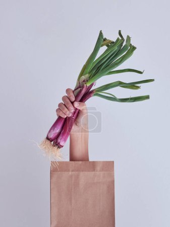 Foto de Cultivo anónimo hembra con fresco puerro rojo maduro demostrado detrás de papel marrón ecológico bolsa de compras contra fondo gris - Imagen libre de derechos