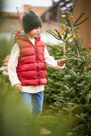 Téléchargez les photos : Calme élégant petit enfant en gilet gonflant à la mode et chapeau touchant les conifères poussant dans la cour pendant les vacances de Noël à la campagne - en image libre de droit