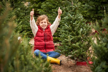 Photo for Happy boy in outerwear with thumbs up sitting on ground among green coniferous trees while smiling and looking at camera - Royalty Free Image