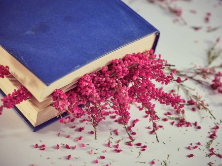 Foto de Desde arriba de libro cerrado con ramitas de flores de brezo de color rosa brillante colocadas en la mesa blanca desordenada en la sala de luz - Imagen libre de derechos
