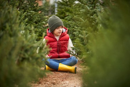 Téléchargez les photos : Garçon mignon en vêtements chauds assis sur le sentier parmi les sapins de Noël dans la campagne tout en regardant vers le bas - en image libre de droit