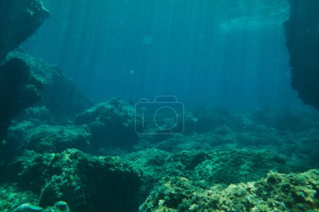Photo for Underwater view of sun rays passing through dark blue water on rocky ocean bottom - Royalty Free Image