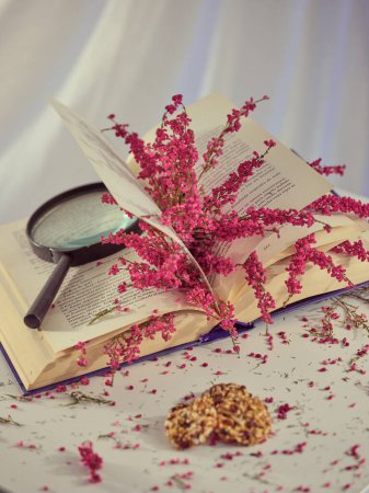 Foto de Libro abierto con coloridas flores de brezo rosa y lupa sobre mesa blanca con galletas de cereales dulces en estudio de luz - Imagen libre de derechos