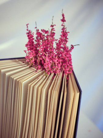 Colorful twigs of tender pink heather flowers in pages of thick book placed against white background in modern light studio