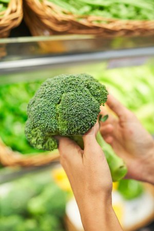 Photo for From above crop unrecognizable person holding fresh broccoli against blurred background of food market - Royalty Free Image